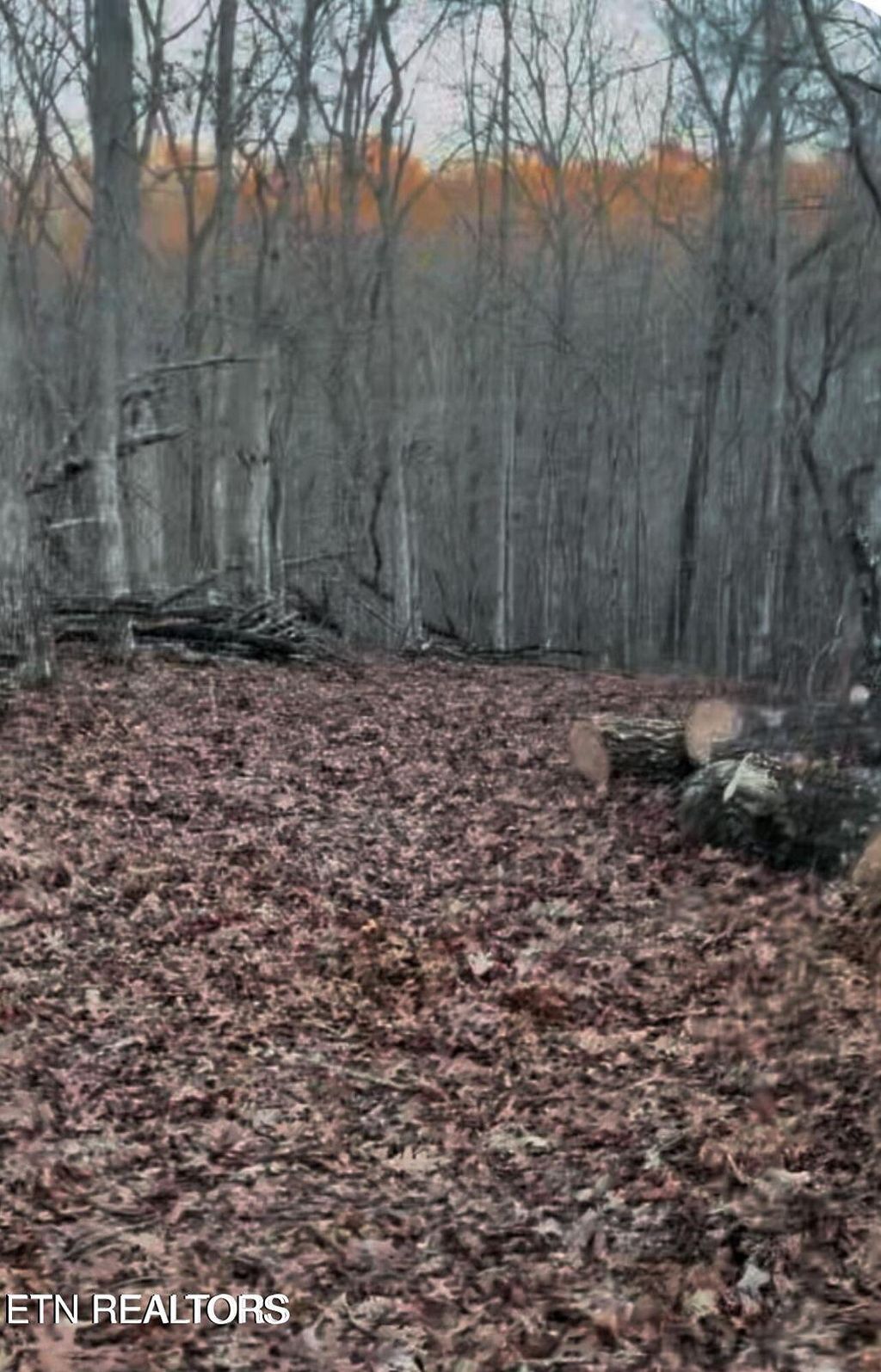 Photo of Crystal Point, Monterey, TN 38574 (MLS # 1327152)