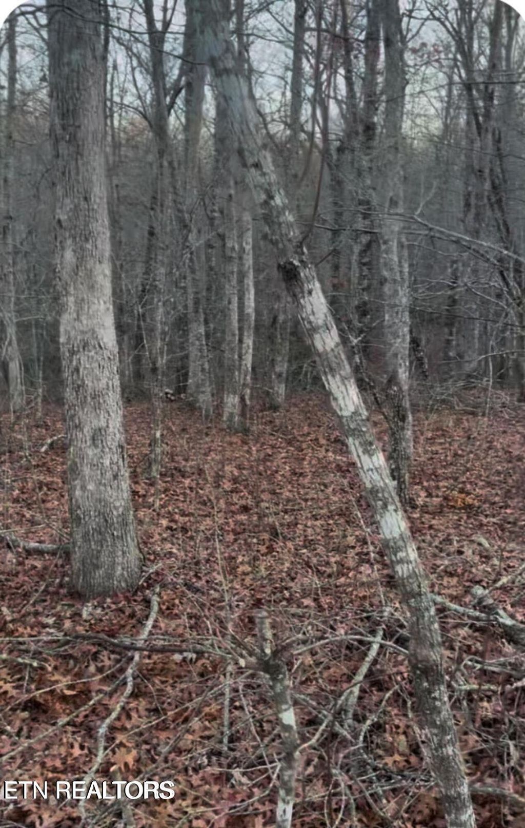 Photo of Crystal Point, Monterey, TN 38574 (MLS # 1327152)