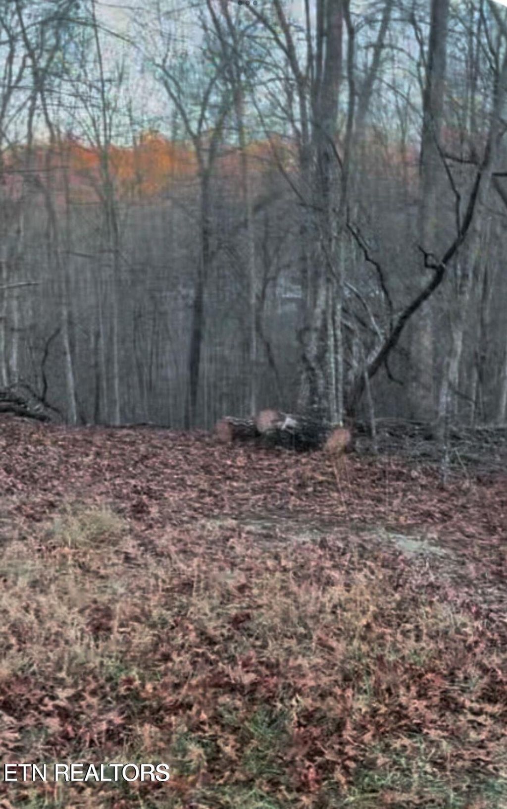 Photo of Crystal Point, Monterey, TN 38574 (MLS # 1327152)