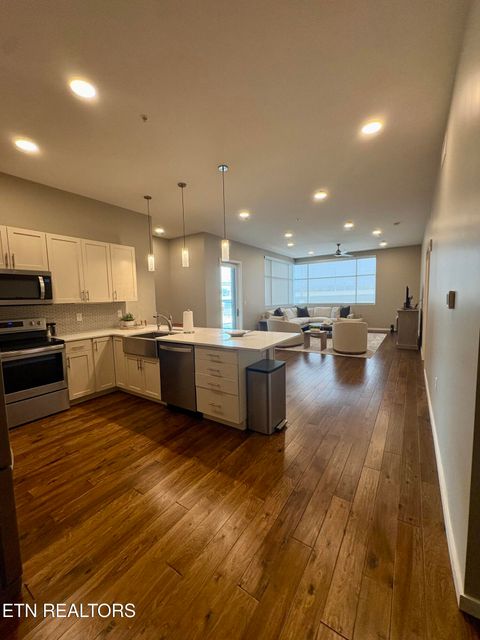 Tiny photo for 333 W Depot Ave #308, Knoxville, TN 37917 (MLS # 1333687)