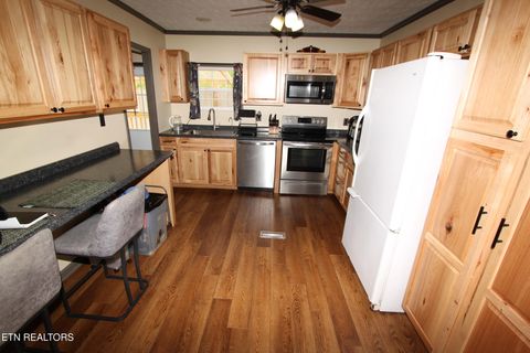 Tiny photo for 1105 Tranquility Hills Way, Cosby, TN 37722 (MLS # 1348167)
