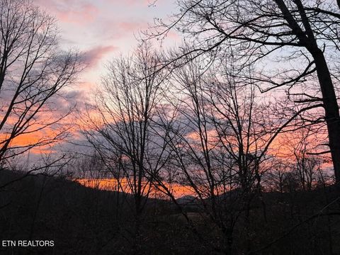 Tiny photo for 1105 Tranquility Hills Way, Cosby, TN 37722 (MLS # 1348167)