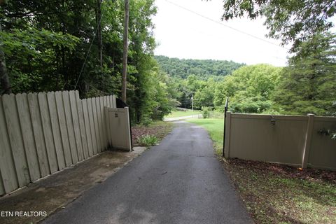 Tiny photo for 1105 Tranquility Hills Way, Cosby, TN 37722 (MLS # 1348167)