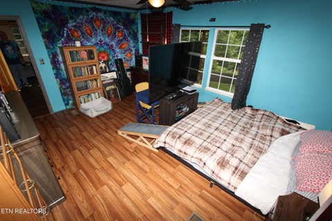Tiny photo for 1105 Tranquility Hills Way, Cosby, TN 37722 (MLS # 1348167)