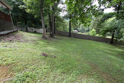 Tiny photo for 1105 Tranquility Hills Way, Cosby, TN 37722 (MLS # 1348167)