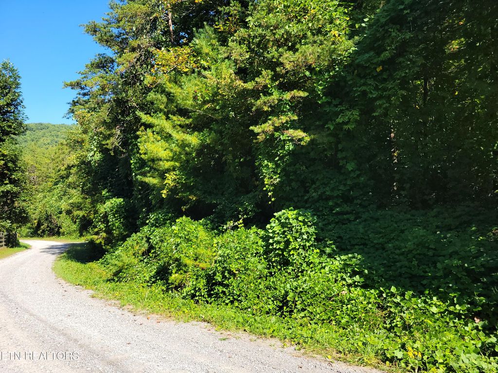 Photo of 39 Sugar Maple Way, Del Rio, TN 37727 (MLS # 1315979)