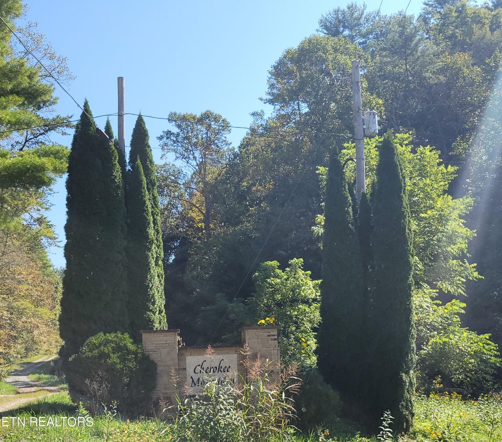 Photo of 39 Sugar Maple Way, Del Rio, TN 37727 (MLS # 1315979)