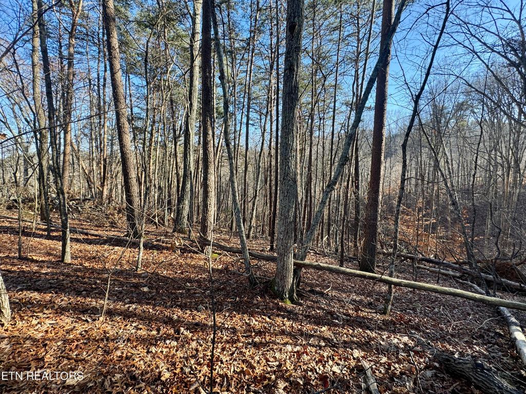 Photo of Gibson Hollow. 2.33 acres Rd, Sevierville, TN 37876 (MLS # 1289210)