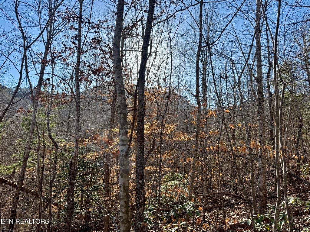 Photo of Gibson Hollow. 2.33 acres Rd, Sevierville, TN 37876 (MLS # 1289210)