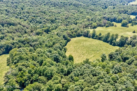 Tiny photo for 1252 (2 Acres) Shellotte Loop Loop, Pall Mall, TN 38577 (MLS # 1357497)