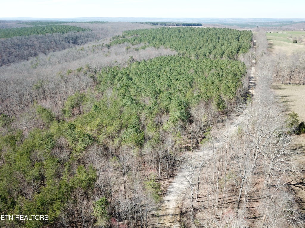 Photo of Buckridge Rd, Crossville, TN 38572 (MLS # 1345550)