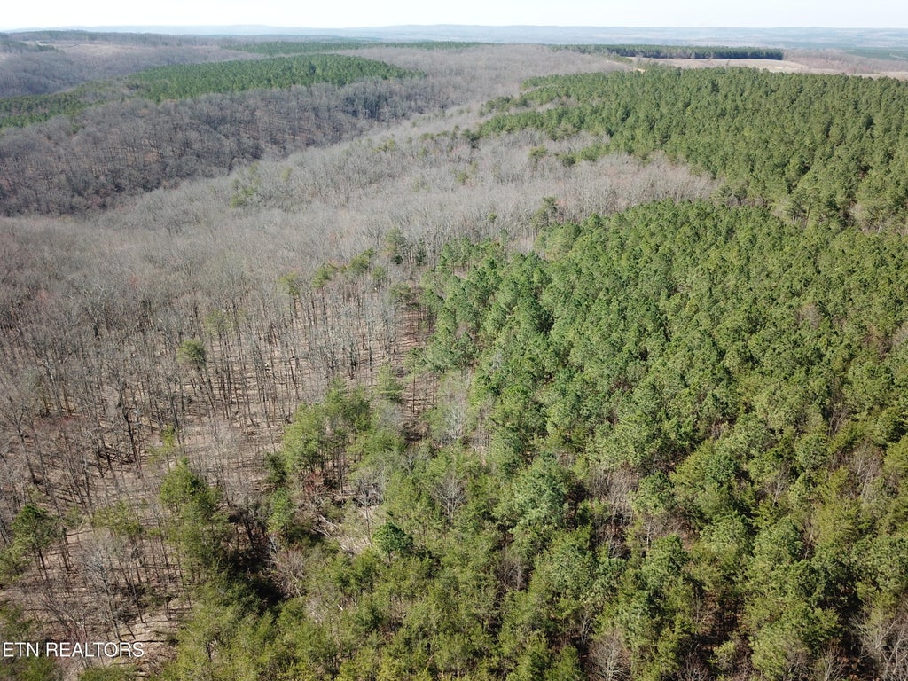 Photo of Buckridge Rd, Crossville, TN 38572 (MLS # 1345550)