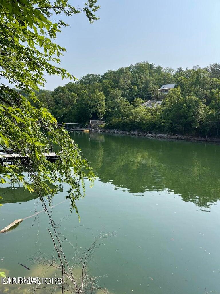 View Caryville, TN 37714 land
