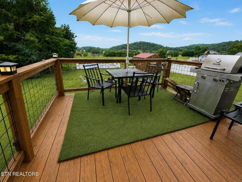Tiny photo for 253 Ramblin Rd, Newport, TN 37821 (MLS # 1349621)