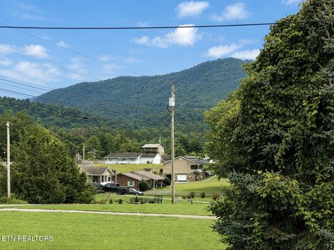 Tiny photo for 253 Ramblin Rd, Newport, TN 37821 (MLS # 1349621)