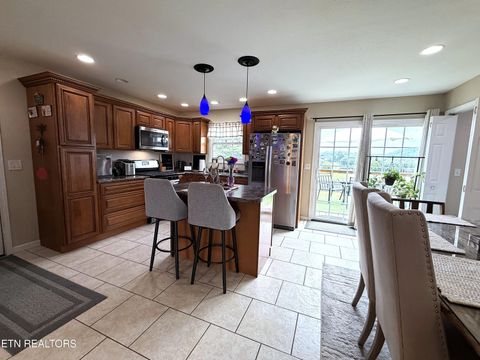 Tiny photo for 253 Ramblin Rd, Newport, TN 37821 (MLS # 1349621)