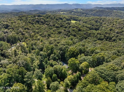 Tiny photo for 598 Hiawassee View Drive, Jacksboro, TN 37757 (MLS # 1355783)