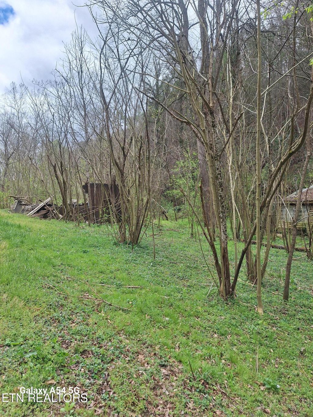 Photo of 428 Lovers Lane, Townsend, TN 37882 (MLS # 1258458)