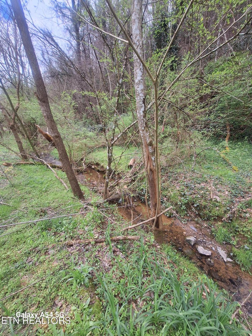 Photo of 428 Lovers Lane, Townsend, TN 37882 (MLS # 1258458)