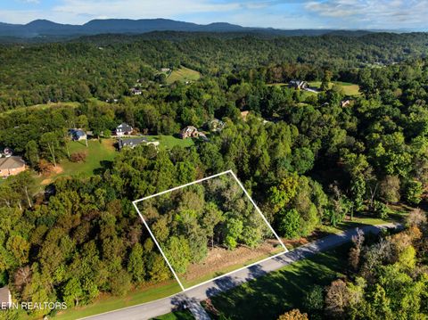 Tiny photo for 5 St James Lane, Clinton, TN 37716 (MLS # 1316552)