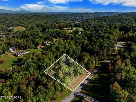 Tiny photo for 5 St James Lane, Clinton, TN 37716 (MLS # 1316552)