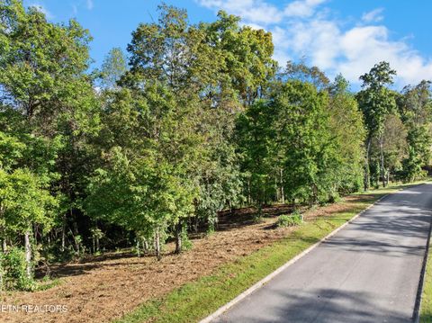Tiny photo for 5 St James Lane, Clinton, TN 37716 (MLS # 1316552)