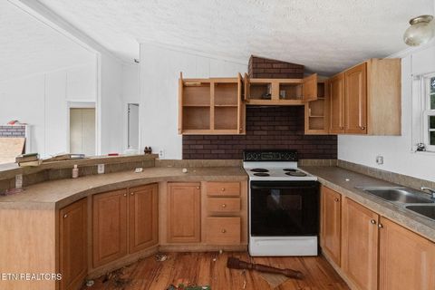 Tiny photo for 6555 General Carl W Stiner Hwy, LaFollette, TN 37766 (MLS # 1330764)