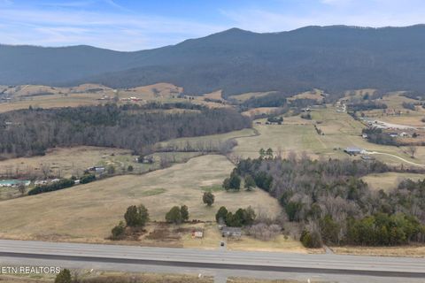 Tiny photo for 6555 General Carl W Stiner Hwy, LaFollette, TN 37766 (MLS # 1330764)