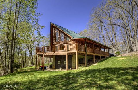 410 Ridge Circle Rd Andersonville TN 37705