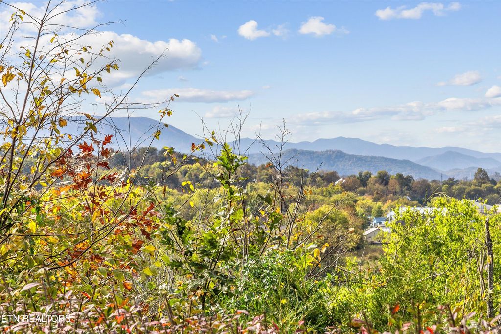 Photo of 339 Riverdale Drive, Sevierville, TN 37862 (MLS # 1331642)