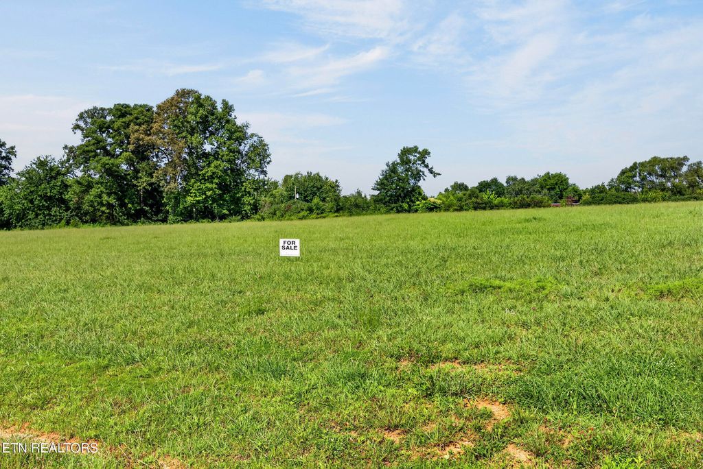 Photo of 1433 Anna Maria Lane, Cookeville, TN 38501 (MLS # 1349427)