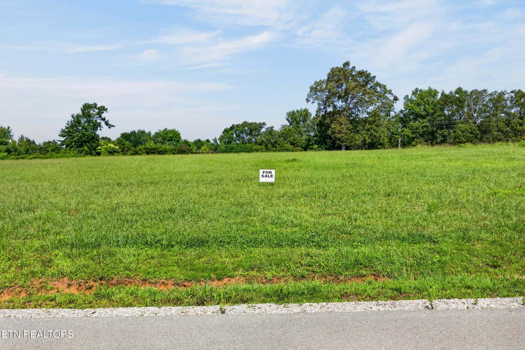 Photo of 1433 Anna Maria Lane, Cookeville, TN 38501 (MLS # 1349427)