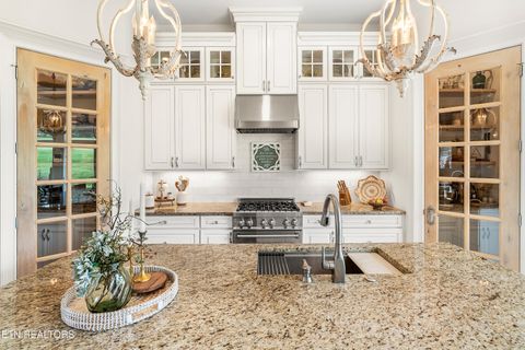 Tiny photo for 340 Pineberry Drive, Vonore, TN 37885 (MLS # 1319628)