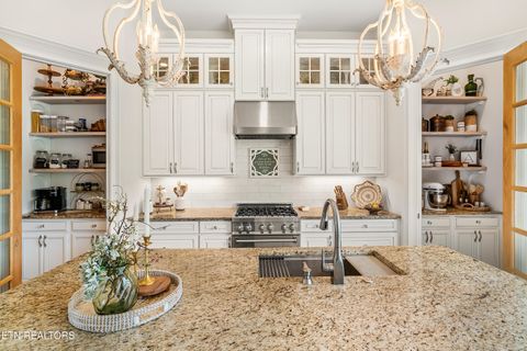 Tiny photo for 340 Pineberry Drive, Vonore, TN 37885 (MLS # 1319628)