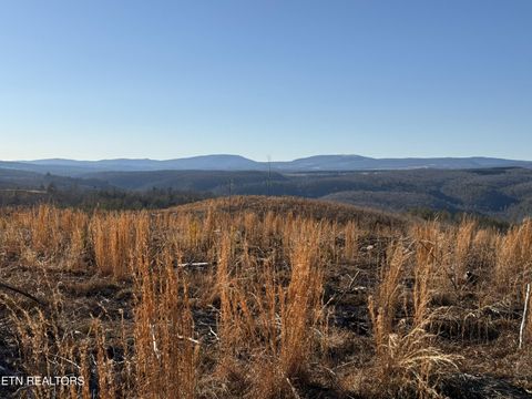Tiny photo for Possum Trot Rd.- 142.25 Acres, Grandview, TN 37337 (MLS # 1327095)