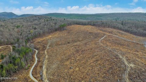 Tiny photo for Possum Trot Rd.- 142.25 Acres, Grandview, TN 37337 (MLS # 1327095)