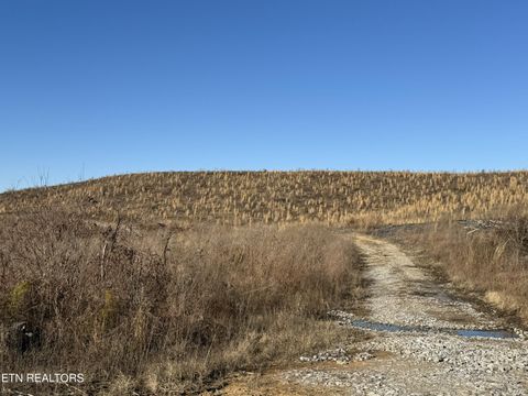 Tiny photo for Possum Trot Rd.- 142.25 Acres, Grandview, TN 37337 (MLS # 1327095)