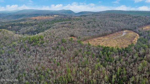Tiny photo for Possum Trot Rd.- 142.25 Acres, Grandview, TN 37337 (MLS # 1327095)