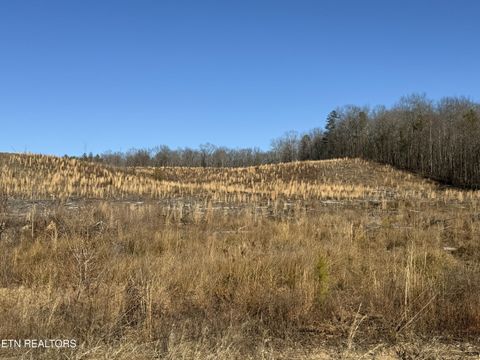 Tiny photo for Possum Trot Rd.- 142.25 Acres, Grandview, TN 37337 (MLS # 1327095)
