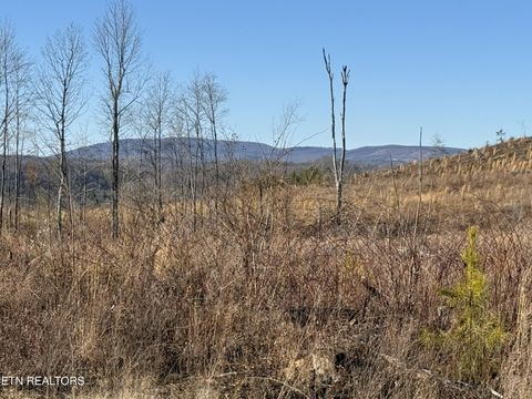 Tiny photo for Possum Trot Rd.- 142.25 Acres, Grandview, TN 37337 (MLS # 1327095)