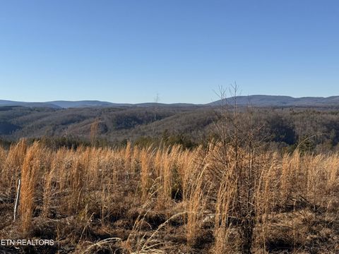 Tiny photo for Possum Trot Rd.- 142.25 Acres, Grandview, TN 37337 (MLS # 1327095)