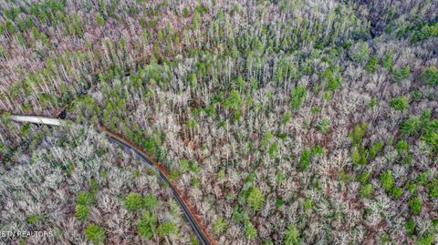 Tiny photo for Possum Trot Rd.- 142.25 Acres, Grandview, TN 37337 (MLS # 1327095)