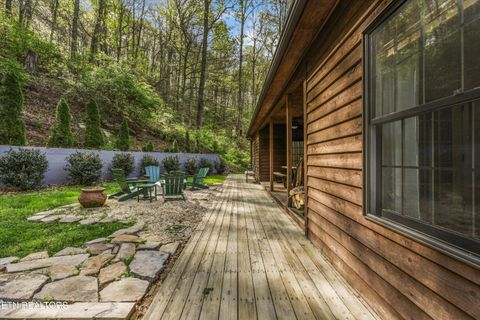 Tiny photo for 257 Lone Ridge Lane, Clinton, TN 37716 (MLS # 1336079)
