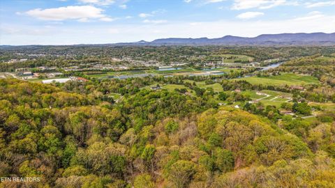 Tiny photo for 257 Lone Ridge Lane, Clinton, TN 37716 (MLS # 1336079)
