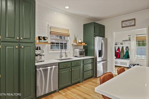 Tiny photo for 257 Lone Ridge Lane, Clinton, TN 37716 (MLS # 1336079)