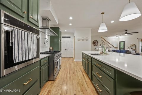 Tiny photo for 257 Lone Ridge Lane, Clinton, TN 37716 (MLS # 1336079)