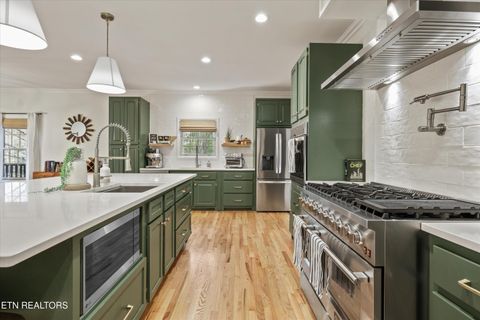 Tiny photo for 257 Lone Ridge Lane, Clinton, TN 37716 (MLS # 1336079)