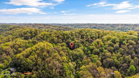 Tiny photo for 257 Lone Ridge Lane, Clinton, TN 37716 (MLS # 1336079)