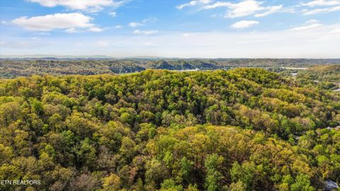 Tiny photo for 257 Lone Ridge Lane, Clinton, TN 37716 (MLS # 1336079)