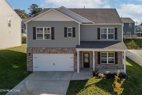 Photo of 557 Cliff Street St, Morristown, TN 37814 (MLS # 1323725)